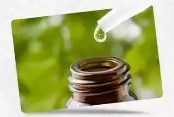 澳洲星期四农庄茶树祛痘凝胶,这次海洋世界之旅收获到什么