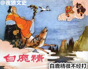 西游神话最强坐骑,西游坐骑里面哪个坐骑最厉害