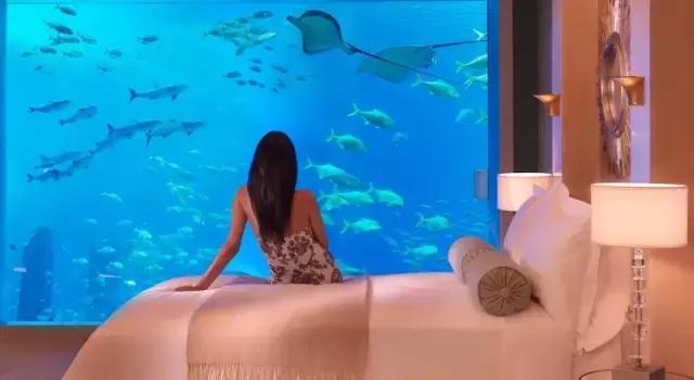 阿联酋可以落地签吗,阿联酋去哪里可以落地签