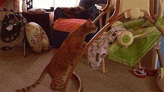 吃完糖丸疫苗呕吐怎么缓解,吃了糖丸疫苗宝宝不喝奶