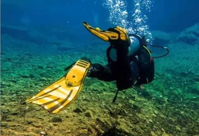 一个老板挖个鱼塘,杭州一老板挖个鱼塘