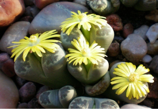 稀奇景色,稀奇风景原创素材