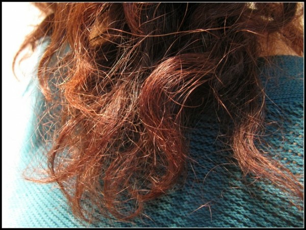 干枯分叉是什么发质,拯救干枯毛躁分叉打结的发质