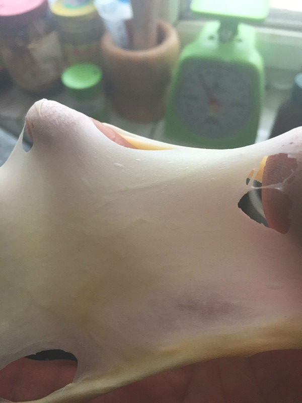 蜂蜜小面包培训,蜂蜜小面包烤箱版