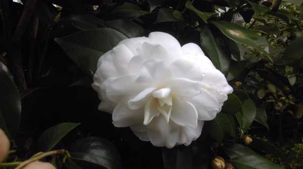 南昆山哪里好玩,惠州龙门南昆山