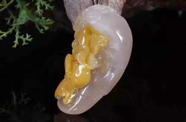 一张图看懂金丝玉,四个字看透人心