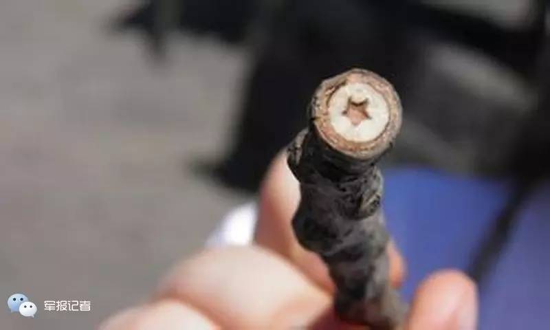 荐读｜一棵朱老总亲手种下的杨树，为何长出红五星？