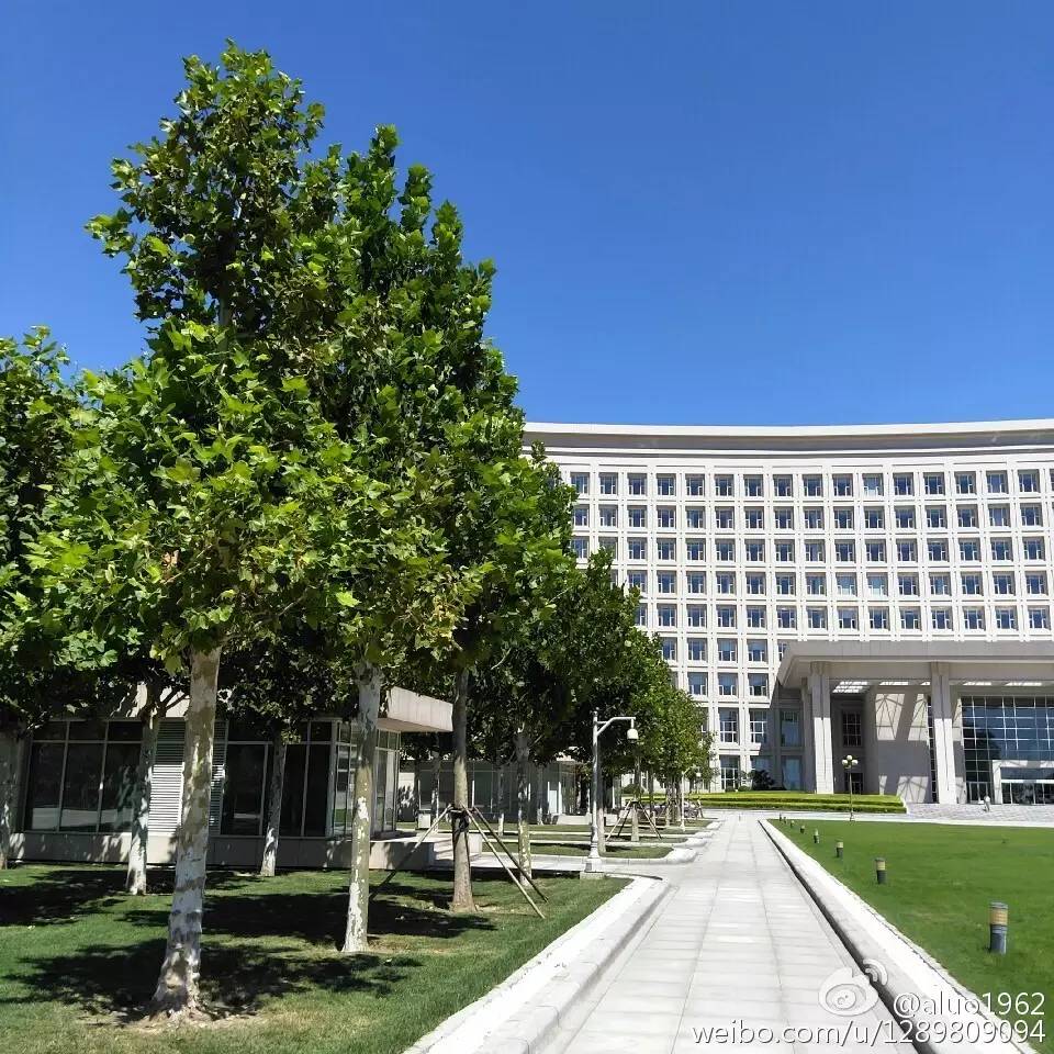 天津蓝眼泪视频,天津蓝眼泪最新视频