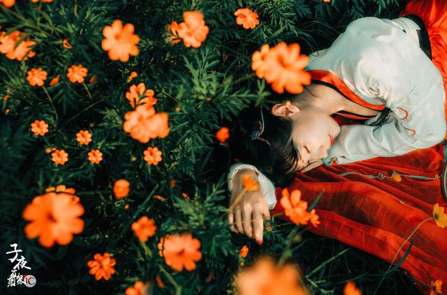 小说：公认的废柴小姐变成冰系能力者，把公主冻成冰块，大快人心