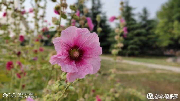 vivoz5x全面详细评测,vivoz5x挖孔屏视频