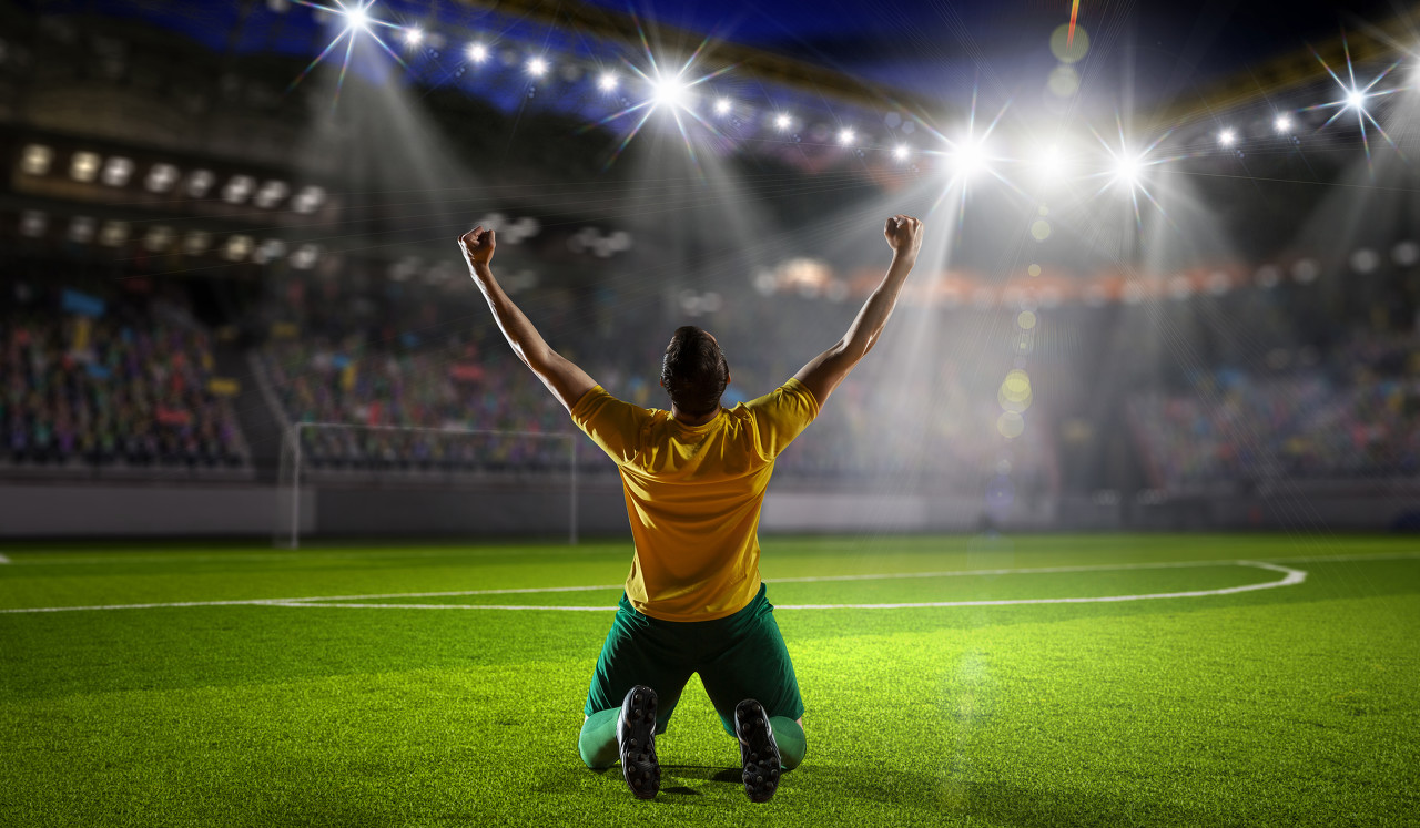 小说系统开发技巧,小说系统软件开发与搭建