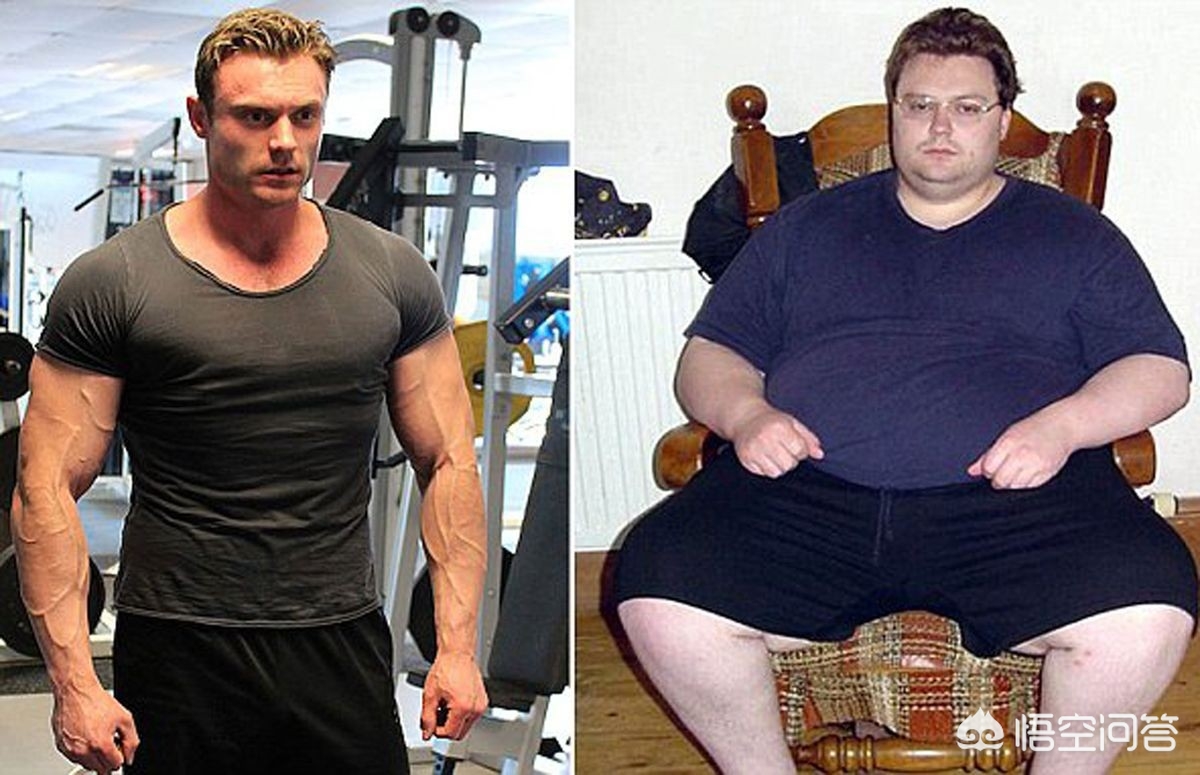 脂肪如何排出体外动画,减肥脂肪排出体外了吗