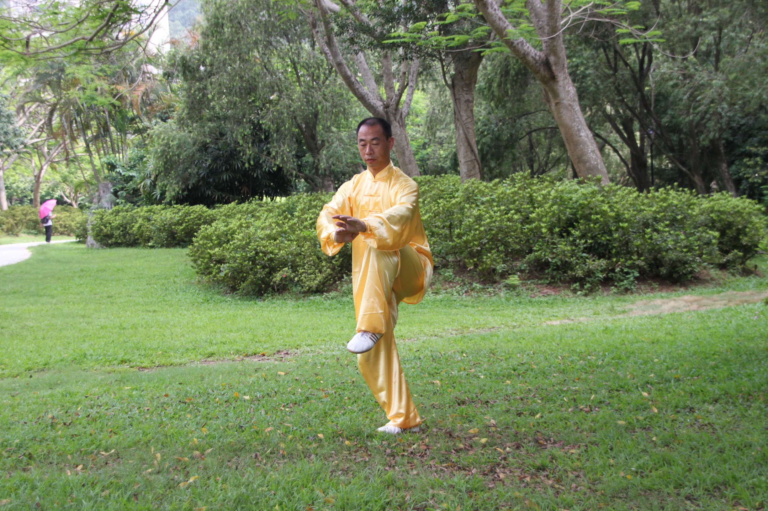 传统太极十三式教学,三丰太极十三式