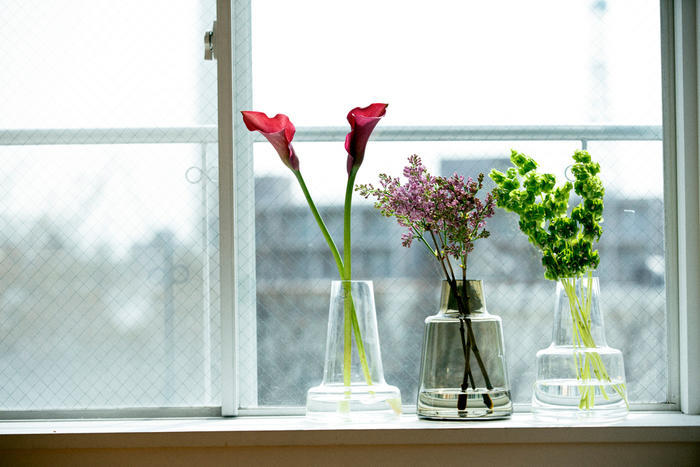 清新淡雅的花瓶,瞬间提升居家美感的花瓶