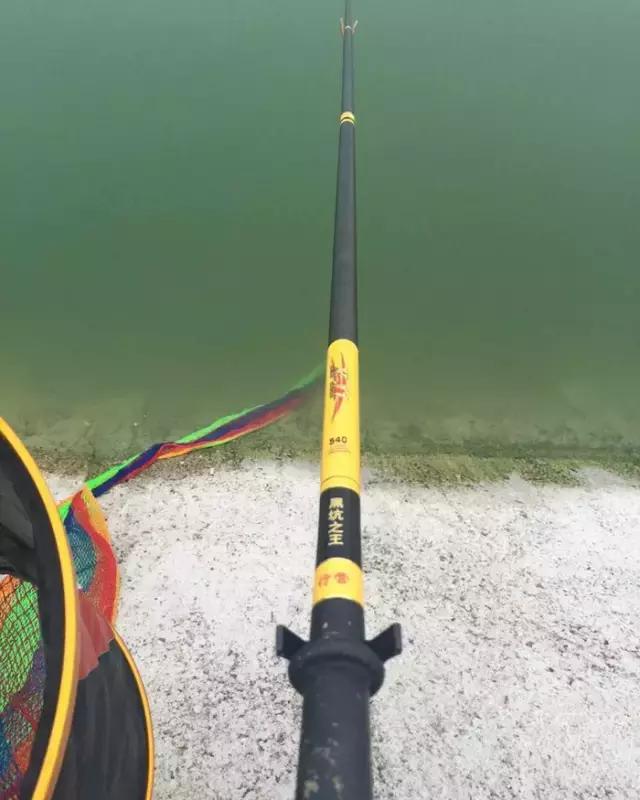 《渔获战报》黑坑之王在此，江湖没有之一