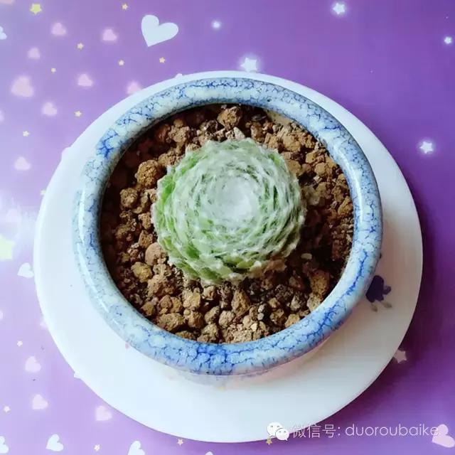 入坑就不能自拔,入坑后无法自拔