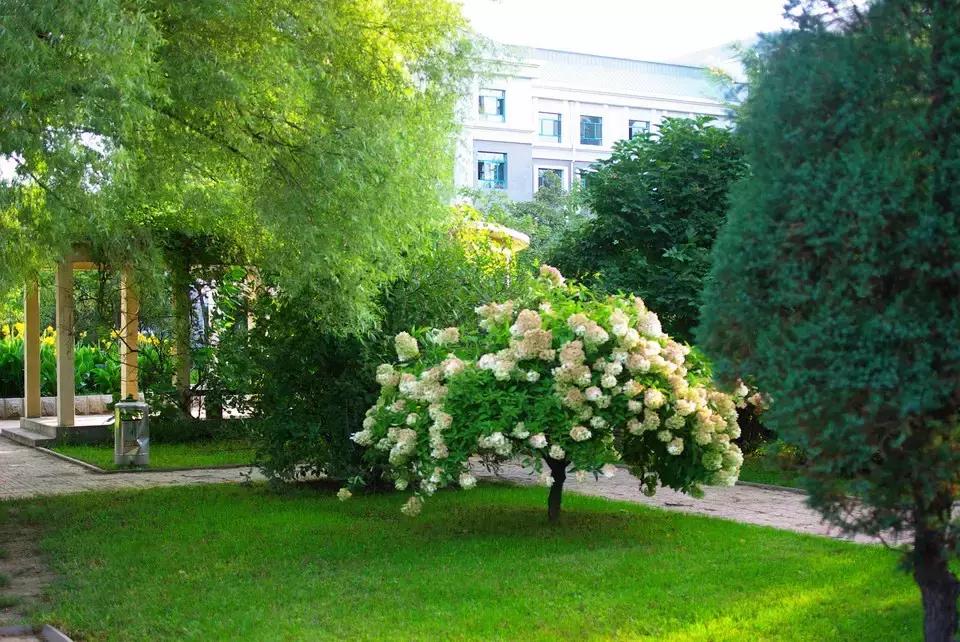 锦江区有哪些重点高中学校,锦江区高中排名一览表