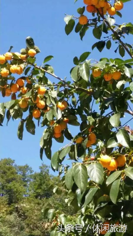 西泰山风景旅游区简介,河南西泰山风景区简介