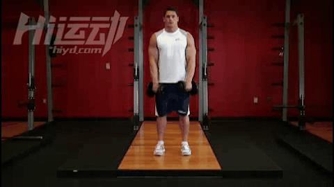 虎头肩三角肌哑铃训练,新手练肩6个哑铃练肩动作