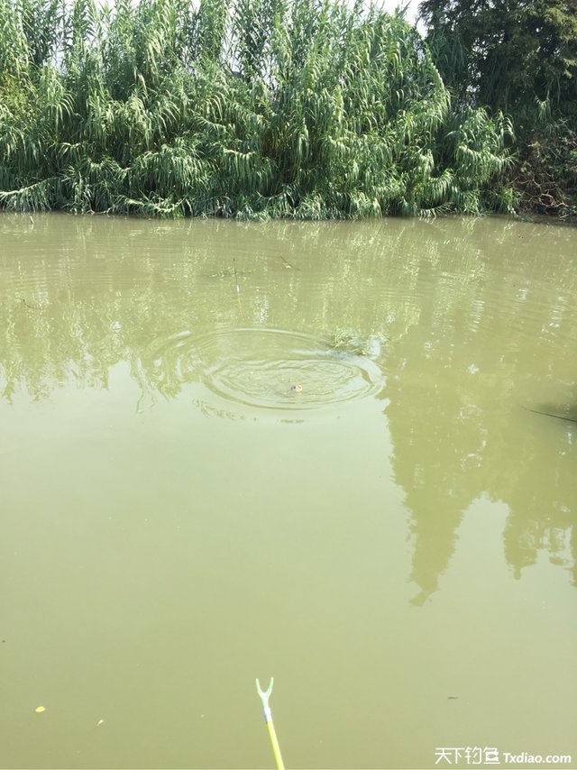 渔品汇产品,渔品汇饵料