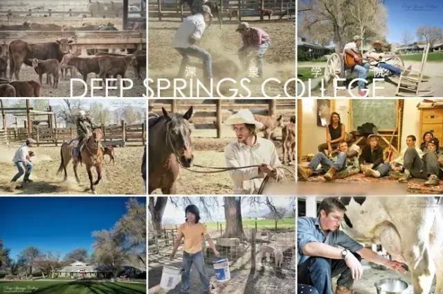 美国深泉学院的真相,深泉学院口碑怎么样