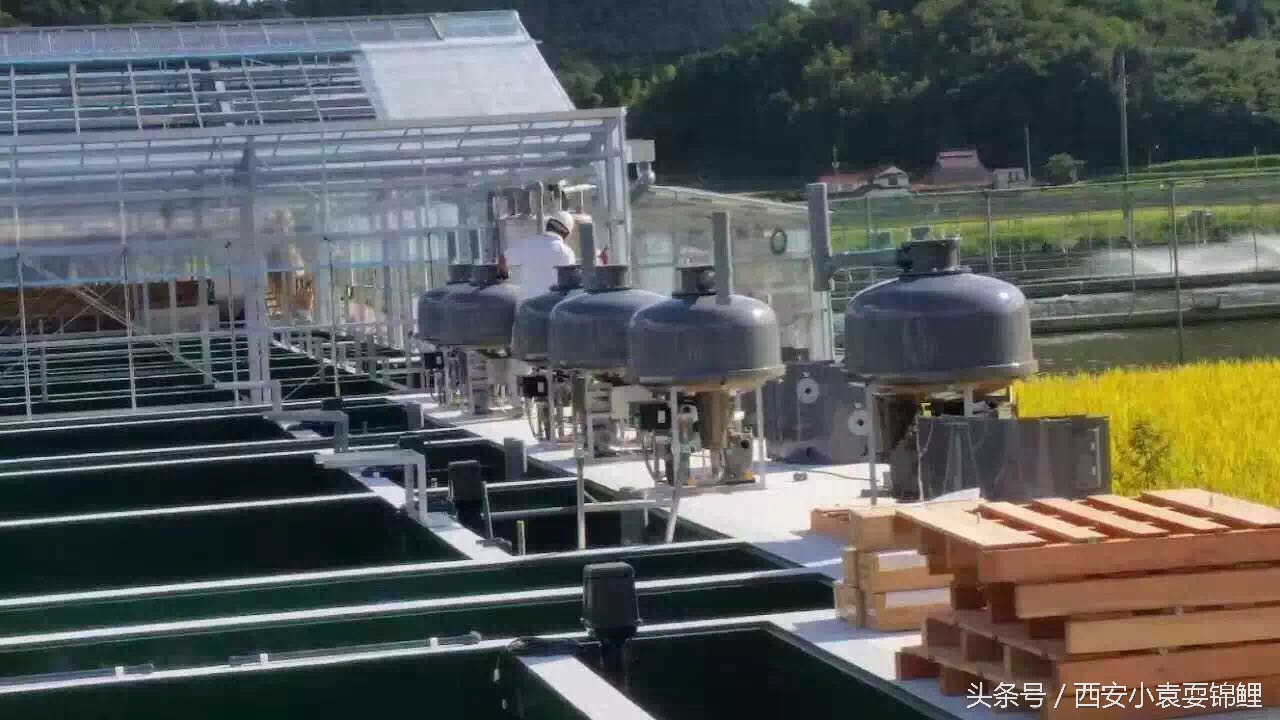 刨根问底“涌清水”！新型低能高效的生物膜法水处理装置