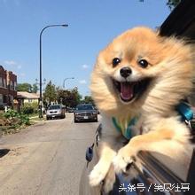 不要钱的爆笑段子,幽默搞笑不说话段子