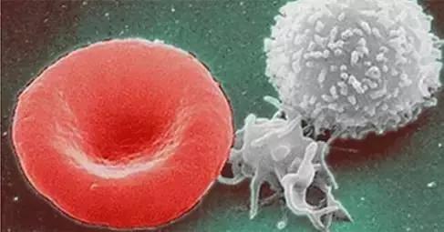 瑜伽轻断食的具体方法,瑜伽断食的操作方法