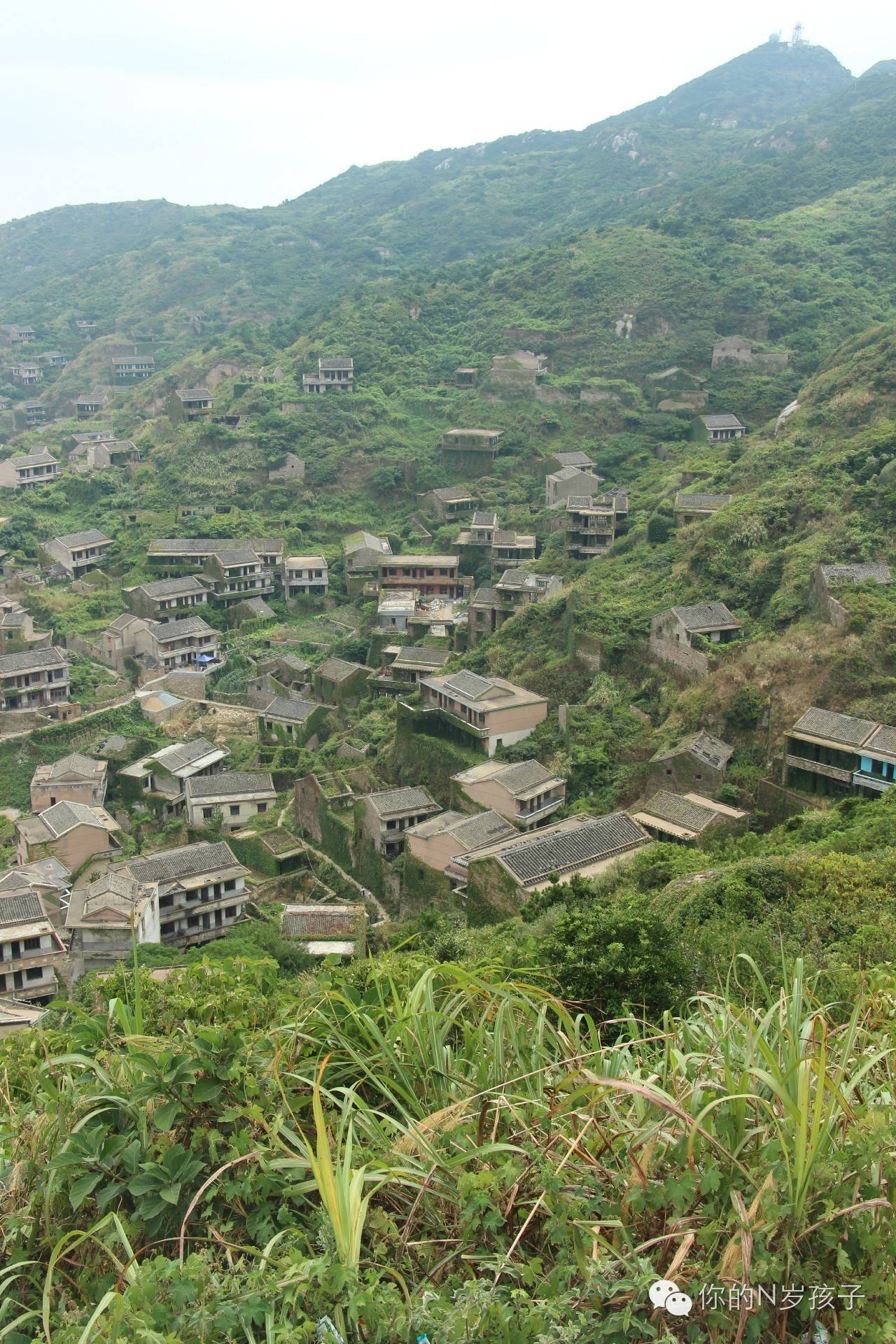 旅行中的成长,旅行成长