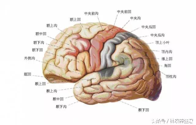 十大常见运动损伤部位及防治,运动损伤最容易出现部位