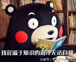 小语种专业留学前景,小语种国家留学回国优势