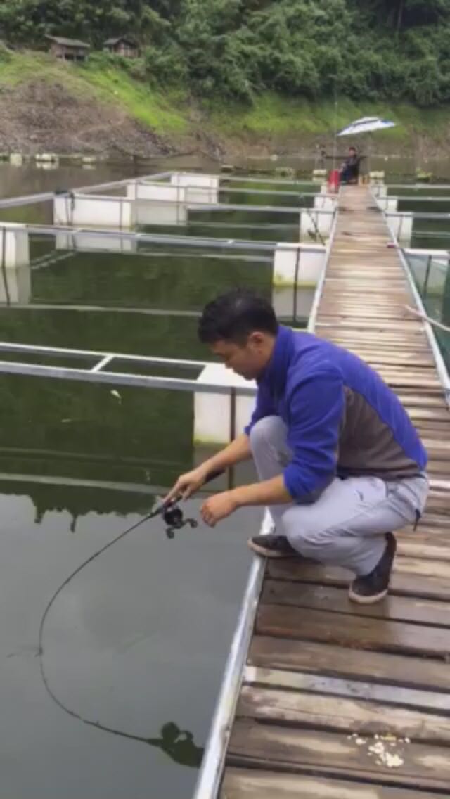 五强溪探钓大物,五强溪筏钓比赛