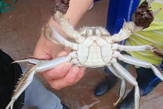 成都附近的旅游景点推荐四姑娘山,距成都五个多小时的地方