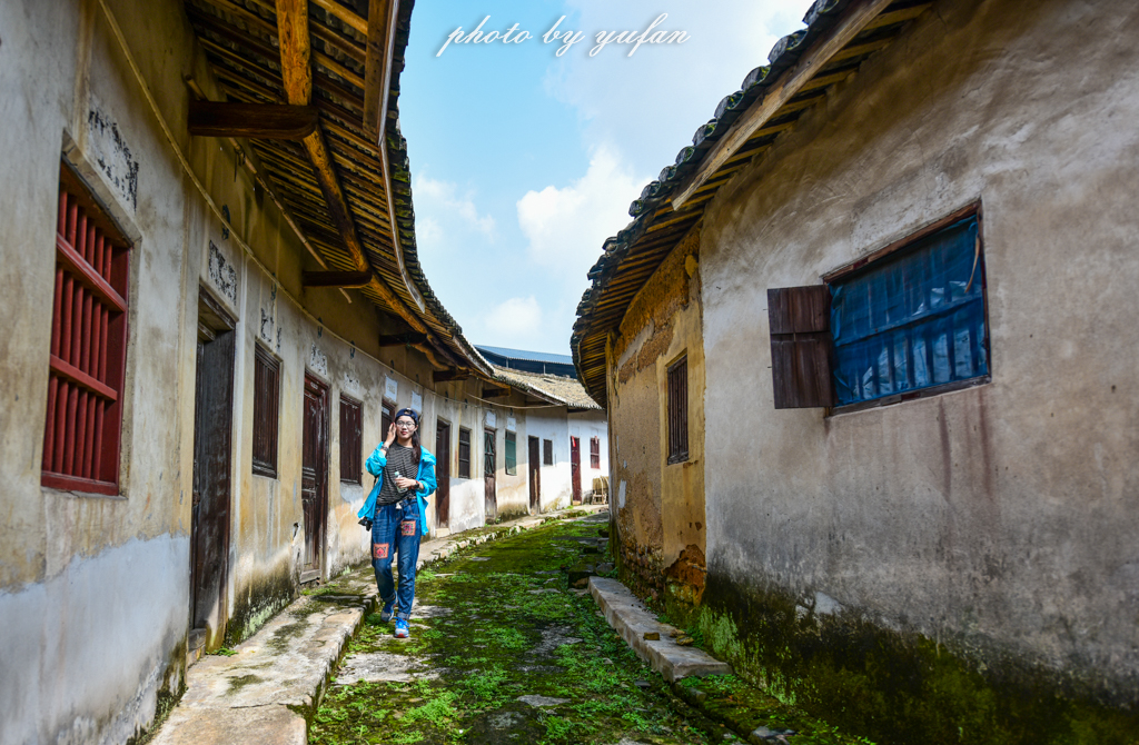 丝路奇迹：观围屋之典范，赏苏铁之传奇