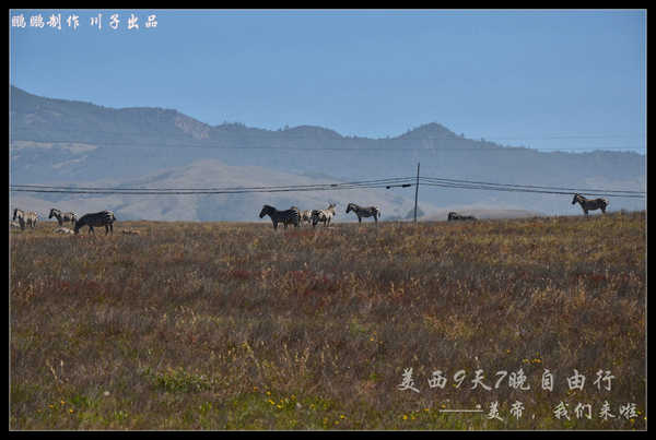 美西自驾6日游,美西10天自驾