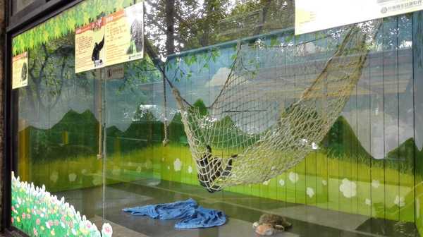 2017春节珠海广州长隆5日亲子游,广州珠海长隆五日游