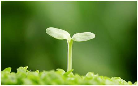 先定个小目标然后实现,给孩子计划个小目标