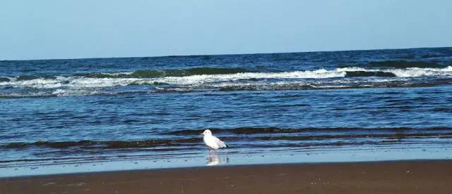 中秋国庆去哪儿玩推荐视频,中秋国庆10天游玩攻略