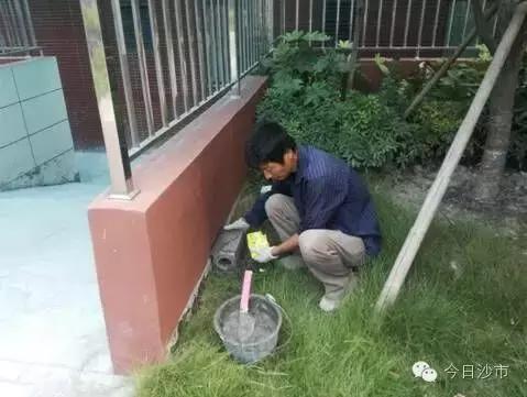 社区创卫工作快讯报道,10月份创卫工作简报