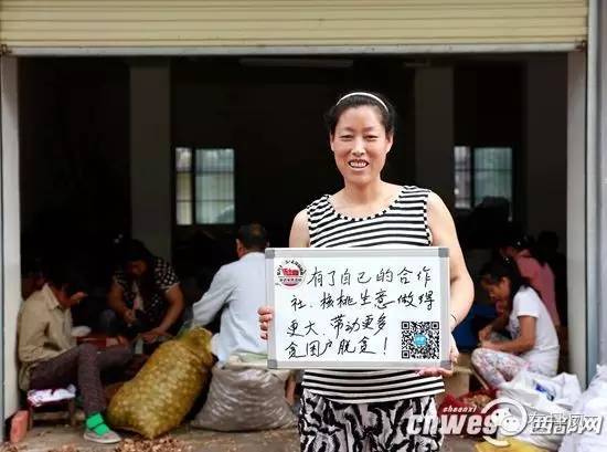 丹凤县经济社会发展亮点,丹凤县城发展