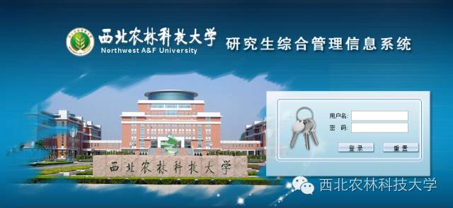 2016六月份英语四级,2020年下半年英语四六级考试成绩