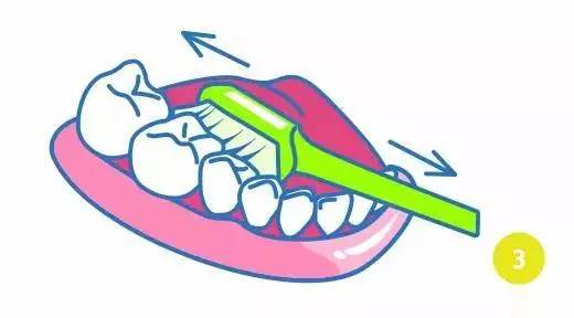 健康口腔保护牙齿,健康口腔龋齿