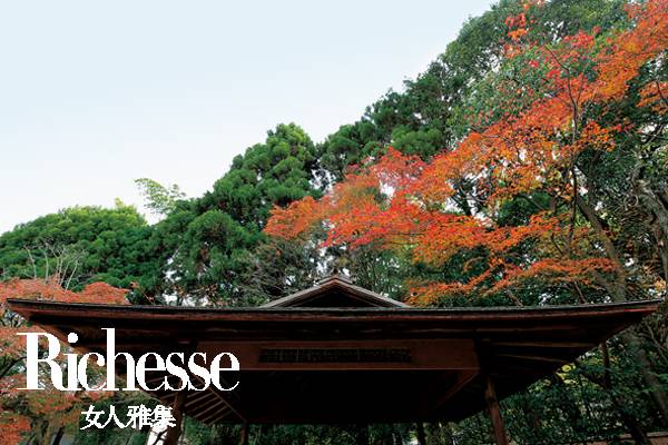 隈研吾建筑大师,日本建筑师隈研吾别墅