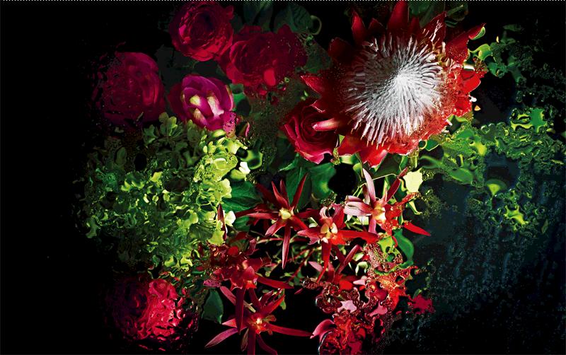 找茬儿,找茬儿双人版