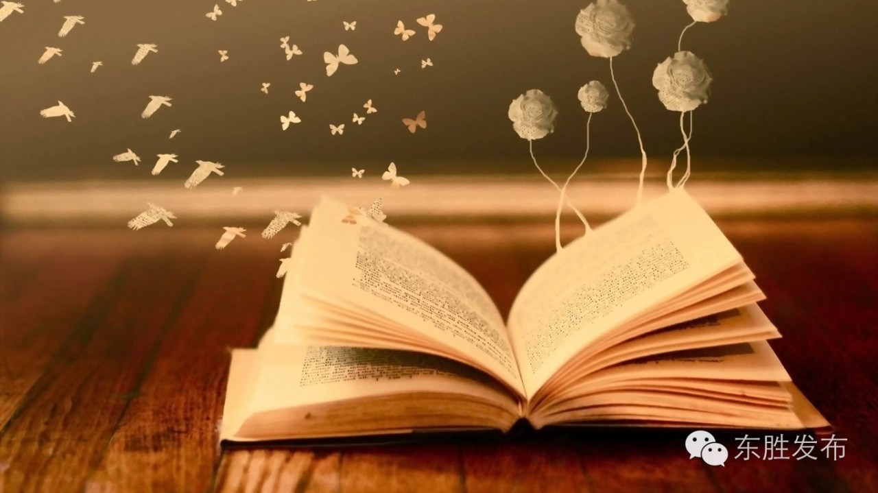 这么多东胜人会写书评，也许你会从中发现又一个“可好女女”