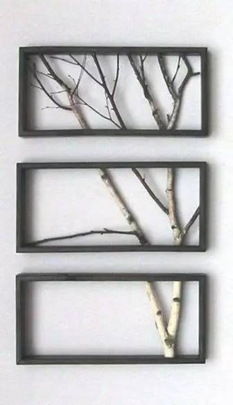 美爆了！台风过后，那些残根断枝竟然这么有用！赶紧学起来...