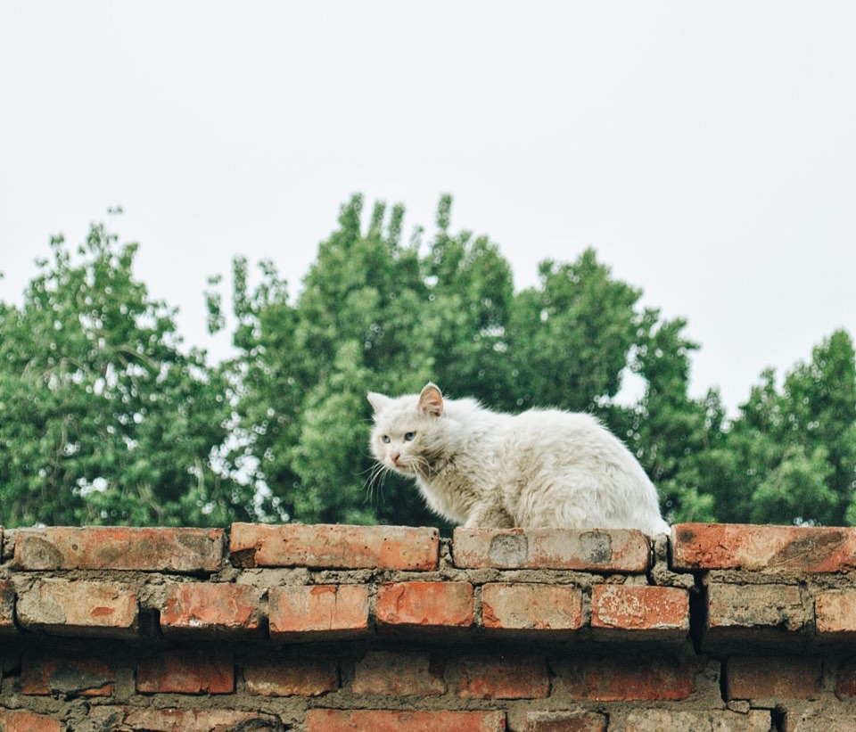 豆瓣相册全集视频,豆瓣相册北京