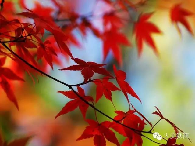 普兰店著名遗址,瓦房店普兰店历史文化