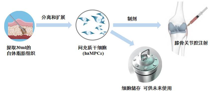 西比曼上市公司,细胞与基因治疗上市公司