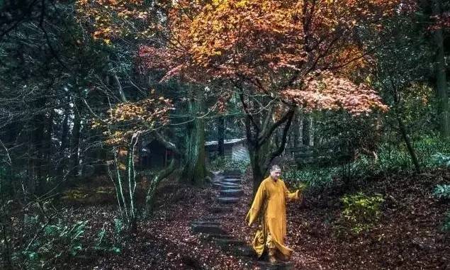 江西10.1小众自驾游路线推荐,江西最好的10条自驾游线路